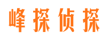 吴起寻人公司